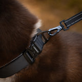 Cerberos Leash